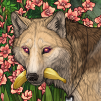 Wolf Headshot