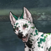 Dalmatian Pie Headshot