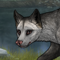 r&c pretty opossum Headshot