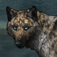 Wolf Headshot