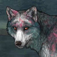 Ember Winterwolf Headshot