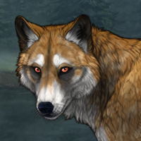 Fetsch Headshot