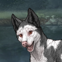 Piebald: Frontal M Headshot