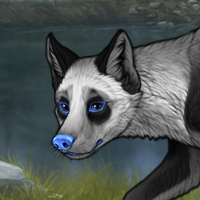 STAGPanda BLUE Headshot