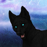 Melanism Brachy carrier Headshot