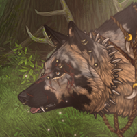 Wolf Headshot