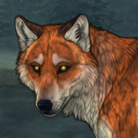 Foxbark Headshot