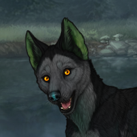 Kelpie Headshot