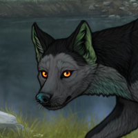 Kelpie Headshot