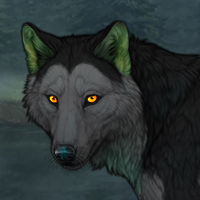 Kelpie Headshot