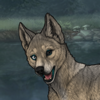 Enclave Puppy Headshot