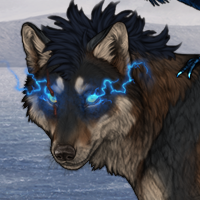 Wolf Headshot