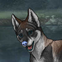 Enclave Puppy Headshot