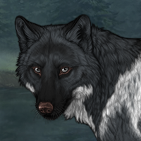 Wolf Headshot