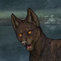 Zhichi Female Pup 2 Headshot