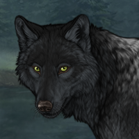 Wolf Headshot