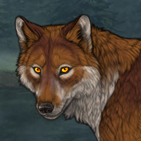 Liverfur Headshot