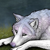Weaselback Headshot