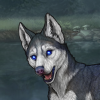 Nocturne Husky Headshot