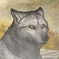 Wolf Headshot