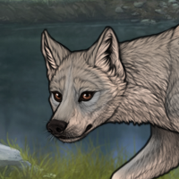 Fodder Headshot