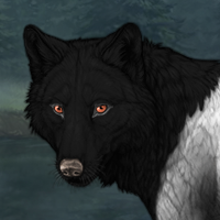 Wolf Headshot