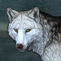 Wolf Headshot