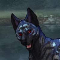Shadow Headshot