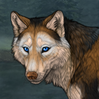 Wolf Headshot